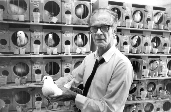 TEORIA DI B.F. SKINNER IN EDUCAZIONE