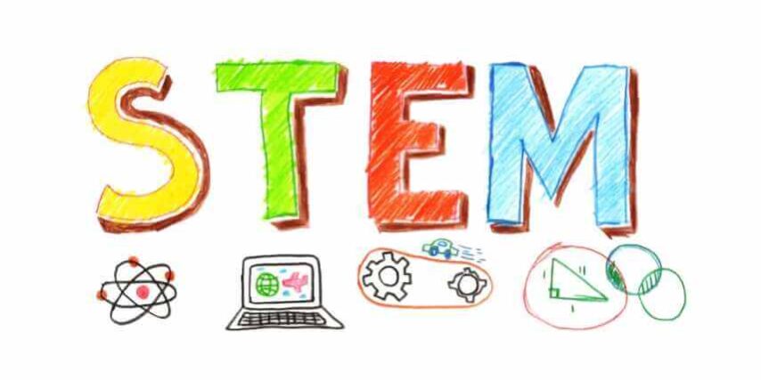 STEM stem