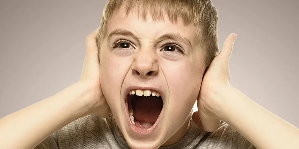 GESTIRE I COMPORTAMENTI PROBLEMA IN MODO EFFICACE GESTIRE I COMPORTAMENTI PROBLEMA IN MODO EFFICACE